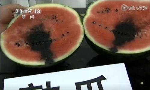 沈阳皇姑吃瓜视频 第2张 沈阳皇姑吃瓜视频 第2张