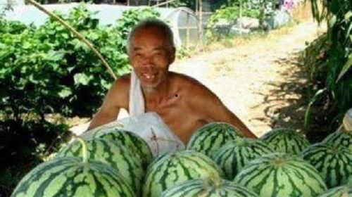 路边吃瓜的人,见证人间百态  第3张