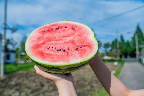 吃瓜西吗,揭秘娱乐圈背后的那些事儿  第3张