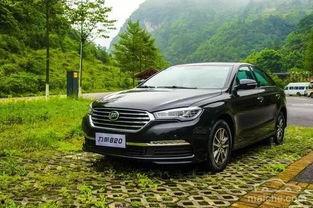 帕萨特吃瓜群众