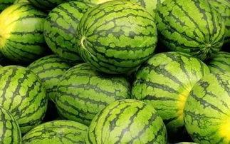 网上吃瓜都有哪些,揭秘虚拟世界的围观文化