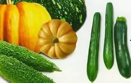 网上吃瓜都有哪些,揭秘虚拟世界的围观文化  第3张