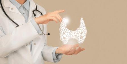 脱发吃二瓜,告别脱发困扰  第1张